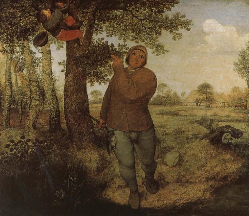 Pieter Bruegel From farmers and Selenocosmia china oil painting image